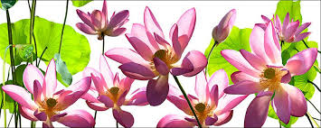 Check spelling or type a new query. Soul Food Design Depot Gallery Pty Ltd Narromine Attractions Melbourne