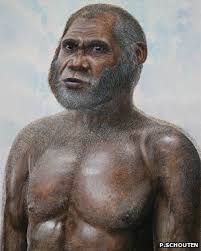 Human fossils hint at new species