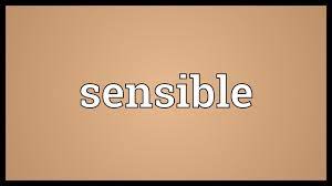 This approach seems very sensible to me. Sensible Meaning Youtube