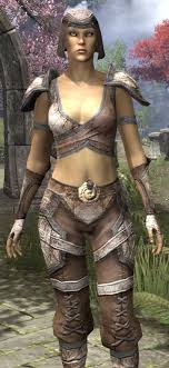 Bosmer Rawhide Female Close Front Wood Elf Rawhide Elder Scrolls Online