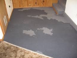 However, it could take up to 24 hours to dry depending on the time of year your carpets are cleaned, and the air circulation, humidity and temperature in your home. How Long For Carpet To Dry After Cleaning Carpet Cleaner Lab