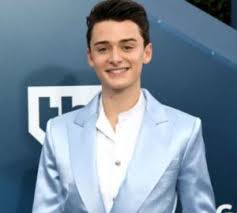 We did not find results for: Noah Schnapp Bio Age Career Dating Earning Award Physique Twitter