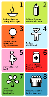 millennium development goals wikipedia