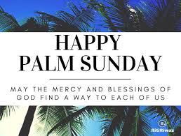 Good palm sunday wishes, whatsapp and facebook status to your this day is celebrated with great zeal by sending palm sunday messages to wish to your family and friends. H9xthho5gwfq M