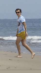 New Harry At The Beach In Malibu May 20 2019 Harry Styles Harry Edward Styles Mr Style
