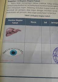 Jawaban Ipa Kelas 7 Semester2 Hal 17 18 Brainly Co Id
