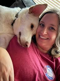 Do I have any friends or family that could take my Ollie boy? My landlord  is making me get rid of him and I don't have anyone in my family to take