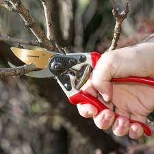 Enduropro Titanium Pruning Shears Best Garden Shears Tree Trimmer Hand Pruner Ideal Branchhedge Shrub And Bush Clip Garden Tools Pruning Shears Garden Shears