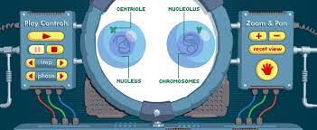 Vlab Cell Division By Sas Curriculum Pathways Cell Division Science Inquiry Mitosis