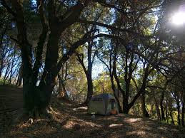 Nestled in an orchard field next to a lush forest, this glamping site is off the grid. Boondocking 101 How To Camp For Free In Beautiful Places Travels With The Blonde Coyote