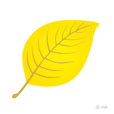 The clip art and cartoon images are png images with transparent background. Yellow Leaf Clipart Free Png Image Illustoon