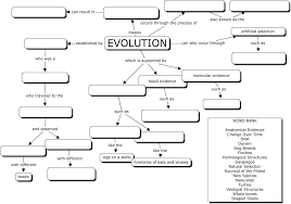 Evolution Concept Map Evolution Concept Map Teaching Biology Evolution Activities