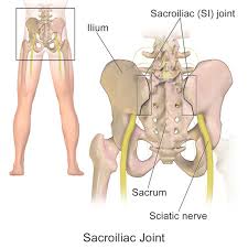 Another common cause of lower back and hip pain is disc injury. A Pain In The Ass Managing Chronic Lower Back Pain
