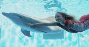 Tucker in the new dolphin tale movie trailer. Dolphin Tale 2 Official Trailer Movies