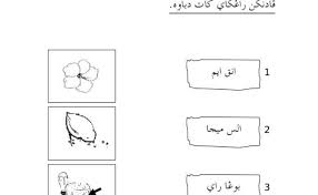 Soalan Jawi Tahun 5 2020 Otosection