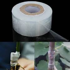 100m garden flower vegetable degradable grafting tape. Pe Grafting Tape Film Self Adhesive Portable Garden Tree Plants Seedli Amazing Home Garden