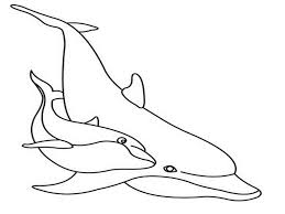 By admin posted on november 30, 2020. Free Printable Dolphin Coloring Pages For Kids Dolphin Coloring Pages Coloring Pages For Kids Mermaid Coloring Pages