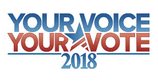 vote