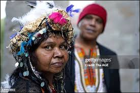 487 Scheltema Stock Photos, High-Res Pictures, and Images