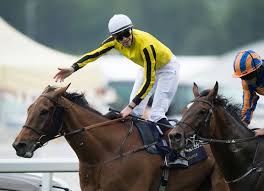 Pin By Richard Todd On Big Orange Horse Racing Horse Racing Tips Sport Of Kings