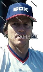 Comiskey Park US Cellular Field Stadium Seat Back Chicago White Sox Carlton  Fisk