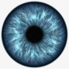 Blue Eye Pupil Blue Eye Pictures Pupil Png Transparent Clipart Image And Psd File For Free Download Eye Texture Eye Drawing Iris Eye