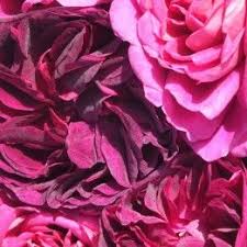 An advantage of having a wide array of experienced floral designers is being able to recognize what each and every one of our customers wants and being able to implement any style that may be needed. Buy Edible Flowers Individual Boxes Of Edible Flowers Buy Borage Flowers Buy Cornflowers Buy Herb Flowers B Edible Rose Petals Edible Roses Edible Flowers
