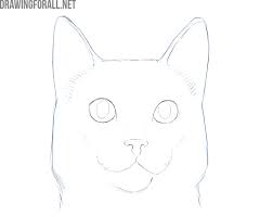 Draw another two triangle for the ears. How To Draw A Cat Face