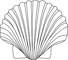 Check spelling or type a new query. Pin By Janet Schockemoehl On Embriodery Ideas Seashells Outline Shell Drawing Sea Shells