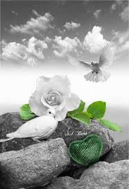 Black And White With Pop Of Color Art Innocence Color Splash Art Color Splash Colorful Art