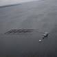 Lecture: The Effects of Salmon Farming in Patagonia