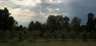 We did not find results for: Sutro Property Management Home Facebook