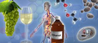 It is best known as the alcohol found in alcoholic beverages. Alkoholeschadwirkung Von Ethanol Im Menschlichen Korper I