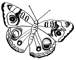 Parents may receive compensation when you click through and purchase from links contained on this website. Butterfly Coloring Pages Kids Coloring Home