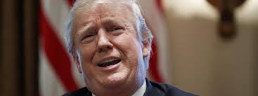 To use s***hole or not? The president takes the media into the dumpster