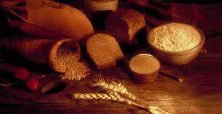 Contamination Et Deterioration Des Cereales Et Aliments Cerealiers Micro Organisme Et Alimentation