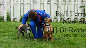 Bull Terrier New Star Bjj Gi Review Brazilian Jiu Jitsu Gi