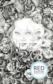 Issue 35 (Spring 2016)