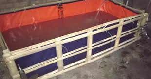 Peluang Usaha Budidaya Ikan Lele Di Kolam Terpal Untuk Pemula Mas Yundar