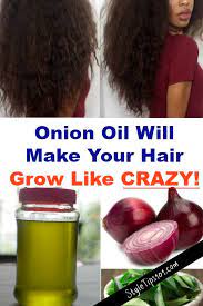 It is a different formulation specially prepared for hair growth from the onion bulb. Diy Onion Hair Oil Onion For Hair Onion Hair Growth Onion Oil For Hair