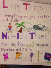 Living And Non Living Anchor Chart Science Anchor Charts