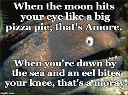 Bad Joke Eel When The Moon Hits Your Eye Like A Big Pizza Pie That S Amore When You Re Down By The Sea And An Eel Bites You Corny Jokes Bad