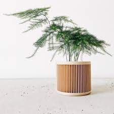 Check spelling or type a new query. 3d Printed Planters Made Of Biodegradable Recycled Wood Green With Purpose