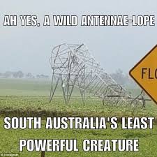 Vaccines are being offered to all residents aged 16 and older while regional south australians. South Australians Describe The Worst Storm In 50 Years With Memes Daily Mail Online