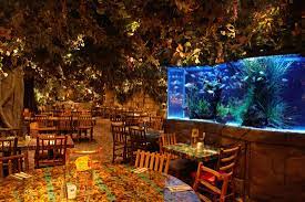 San antonio station is 23 minutes by foot. Rainforest Cafe San Antonio Riverwalk Cafe