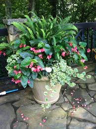 Pin By Alicia Rampaul On Summer Containers I Put Together Patio Container Gardening Garden Containers Container Gardening Flowers