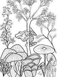 Cute Tree Frog And Mushrooms Coloring Page Frog Coloring Pages Coloring Pages Animal Coloring Pages