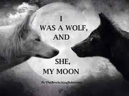 Celtic Wolf Quotes Wolf Inspirational Quotes