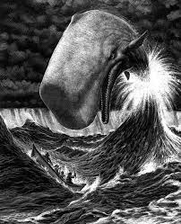 Pin Na Doske Amazing Images