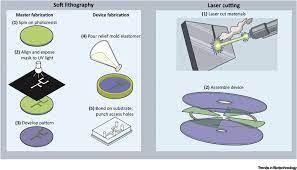 Enabling Microfluidics: From Clean Rooms To Makerspaces: Trends In  Biotechnology